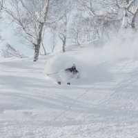 ヨシヨシ (@morita920) 's Twitter Profile Photo