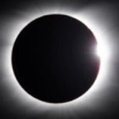 beachevince's profile picture. 