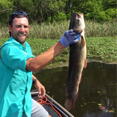 kevinmclis's profile picture. 