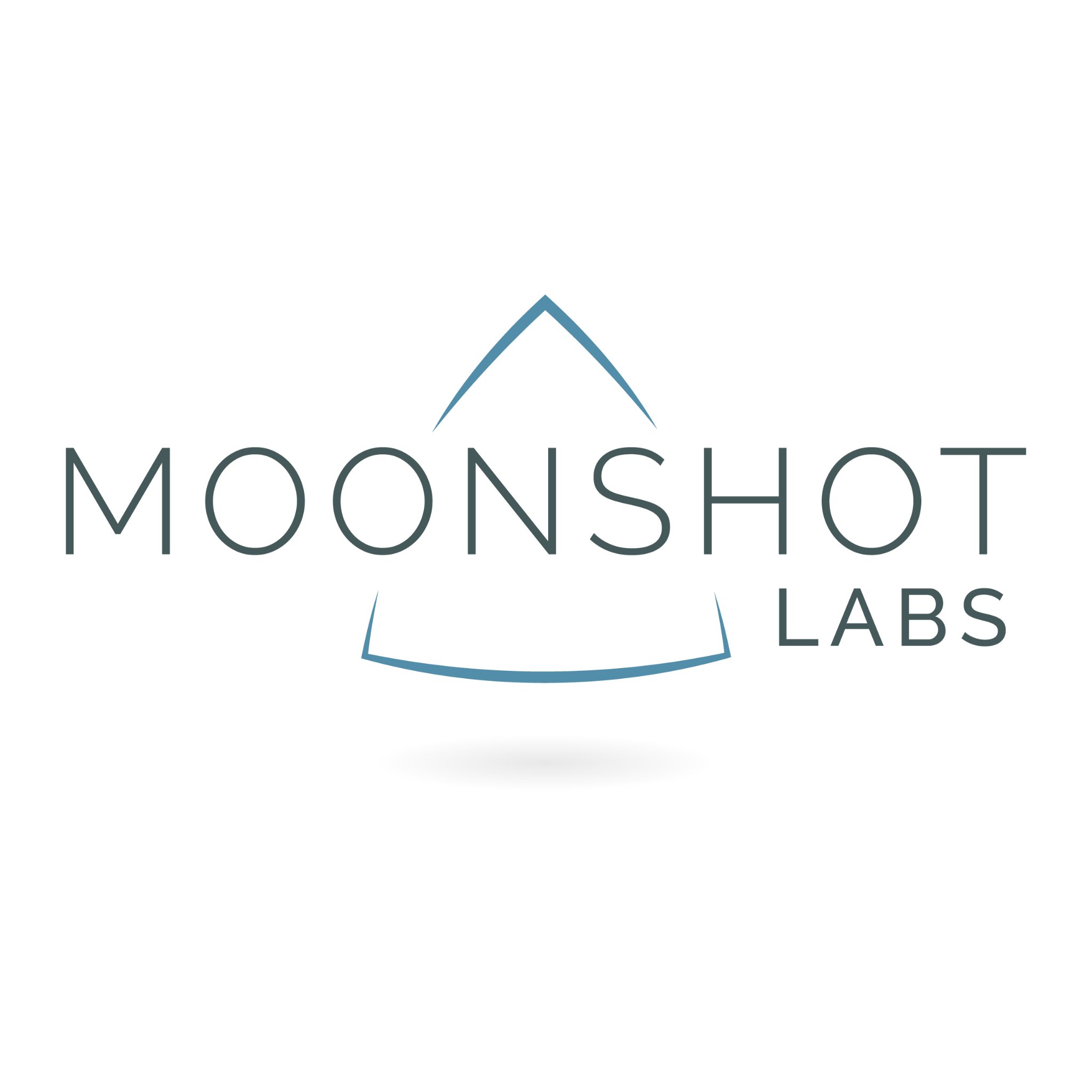 MoonshotL's profile picture. We create innovative Digital Products