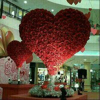 طش مويا (@hshgetgh) Twitter profile photo