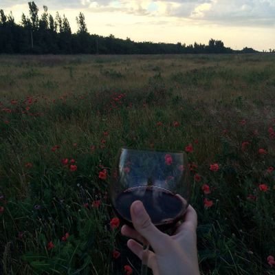 Rk1psP5XTXE7wDH's profile picture. я хуесос