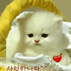 jml4066's profile picture. 