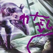 放浪者ロロ Ikaikenbunroku Twitter
