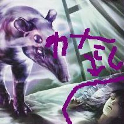 放浪者ロロ Ikaikenbunroku Twitter