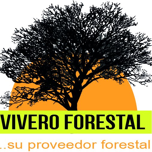 Somos grandes contribuyentes al sector Forestal y Ganadero del país