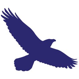 The Ravens Wire Profile