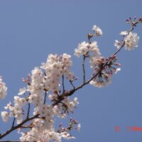 kenken (@smiletakeout) Twitter profile photo