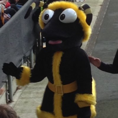 deborahaustin29's profile picture. Accountant now working within the Third sector, Chair of Governors, mother  grandmother, rugby fan. All views are my own