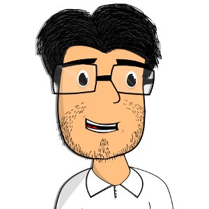 Ingeniero en Sistemas, programador, analista y diseñador de software.