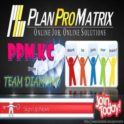 ppromatrix's profile picture. 