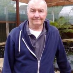 chelsea fan also like forest as my partner @123inger supports them, have a lovely daughter called Courtney and son called mark and a nanna to Leo #cfc