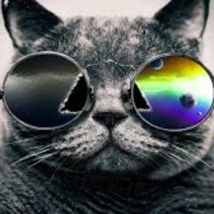 AlinDavid10's profile picture. 