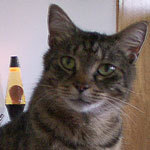 veekaye's profile picture. Private citizen with opinions. Lover of Ween and free speech. Disliker of the ill-informed. Hater of nothing. Respectful disagreer.