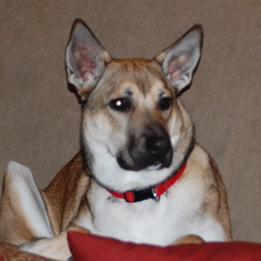 Jim32614's profile picture. 