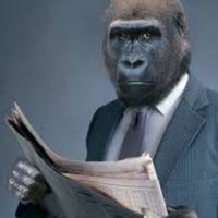 The Reading Ape(@TheReadingApe) 's Twitter Profile Photo