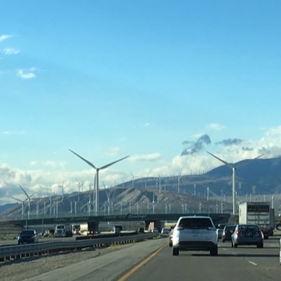 lomeluis's profile picture. Es lo que hay!!