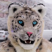 Sinthall (@sinthall) 's Twitter Profile