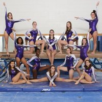 LBSS Gymnastics (@gymnasticslbss) 's Twitter Profile