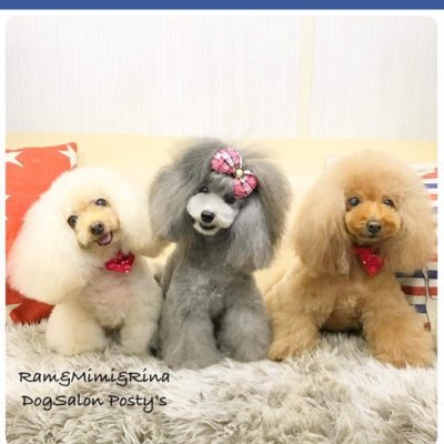 SnoopyTerarimi's profile picture. 