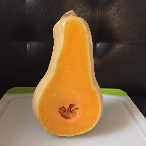 TouchyButternut Profile Picture