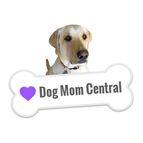 A blog for adoring dog moms. Because furbabies totally count as kids.