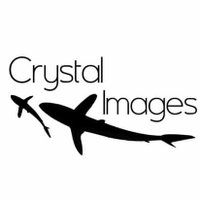 Crystal Images (@crystalimageskt) 's Twitter Profile