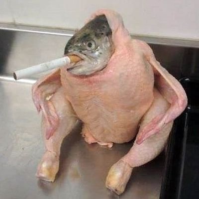 william_lafalce's profile picture. .... Insert something clever here