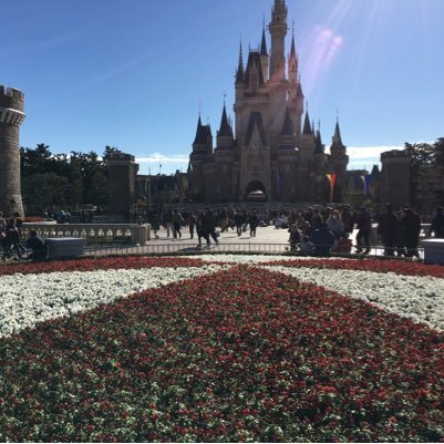 コロナ前はランド シー合わせて年500回くらいインしていたのに今では0回(涙)/年パス復活の目処も立たず休眠状態