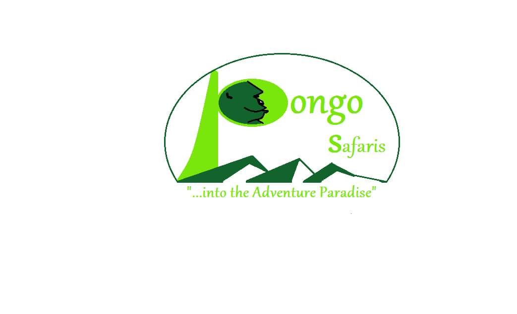 Ugandan based safari company offering the very best of affordable and excellent tour services.