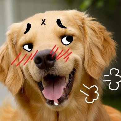 _Pawful's profile picture. Miserably optimistic and promisingly devastated. | A dog's AD account | 18+ Please