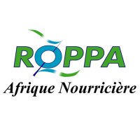 ROPPA(@roppainfo) 's Twitter Profile Photo