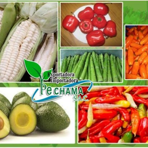 Ep  Imp https://t.co/P5A3cKkwlp  Agroalimentaria Del Peru Frutas Y Verduras fresca y Congelados Granos Andinos Organicos pechama@hot  https://t.co/rRn2Pj60pG