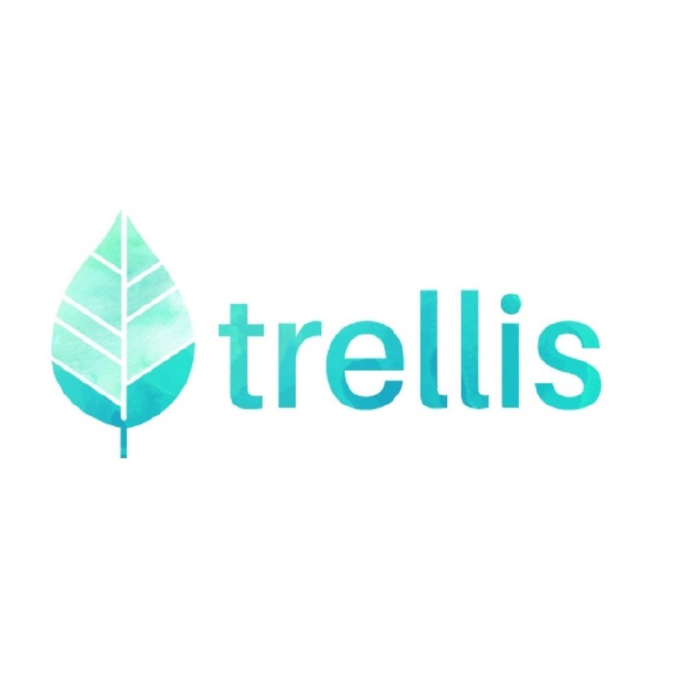 Trellis’ non-profit volunteer programs allow you to travel, train, and work overseas while giving back to the community by educating underprivileged youth.