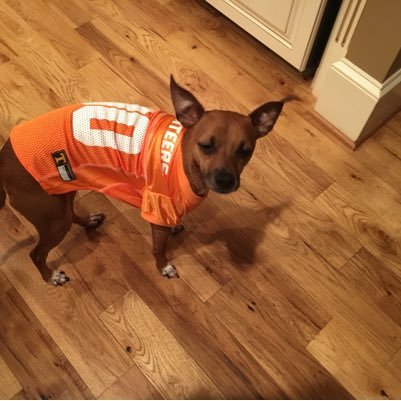 dmarshvols's profile picture. God, family then TN Vols! #VFL