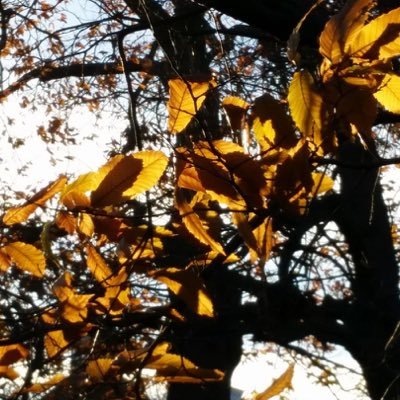 MakeMeADay's profile picture. Just trying to notice the little things that make up a day.