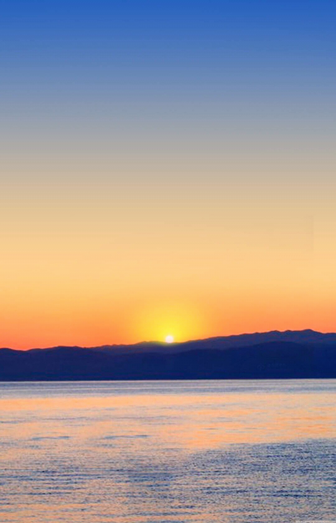 michleen1998's profile picture. i'm not funny