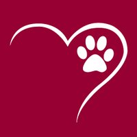 Humane Society Tampa(@HumaneTampaBay) 's Twitter Profile Photo