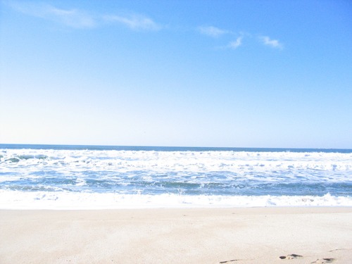 mollymilton's profile picture. .....random adventures in pursuit of narrative