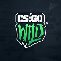 CSGOWild(@Wild) 's Twitter Profile Photo