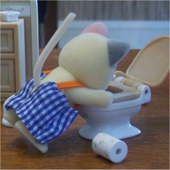 sylvaniakingdom's profile picture. French Sylvanian Families's collector for several years and follower of  the  "cute with a touch of trash" trend. https://t.co/kFZnwl9mfA