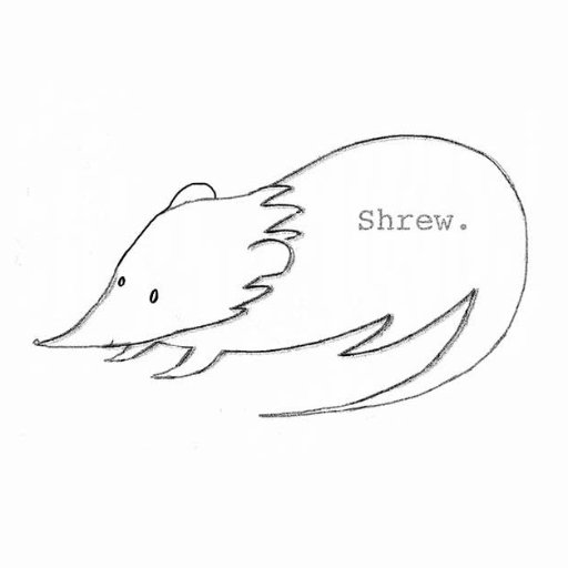 Shrewsong's profile picture. Shrew. engenders cohesiveness between women through the mediums of  storytelling, song expression and spoken word.