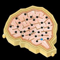 McCAl-Hasani Lab(s) (@mccalhasanilabs) 's Twitter Profile