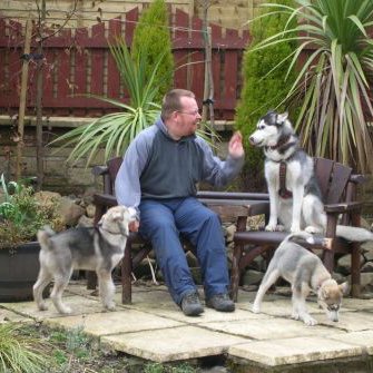 martinjmitch's profile picture. Life time Rangers Fan, Husky musher and general good guy...