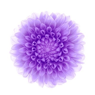 EmiZulauf's profile picture. Instagram:bonnieben2007 hilfbereit selbewust
