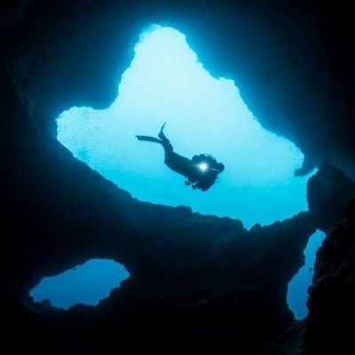* Ocean Diver * Trucker #Conservative #MAGA #deplorable