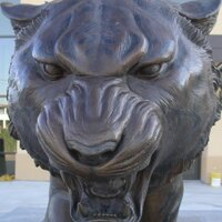 Jarrod Schooley (@thebigbengal) 's Twitter Profile