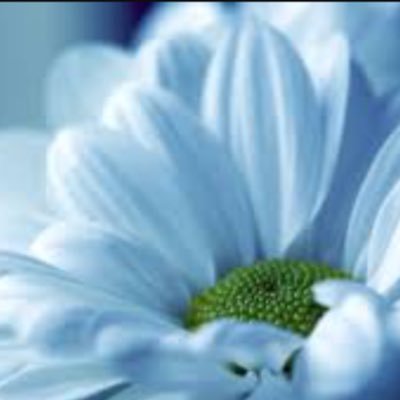 Tam_Shelli's profile picture. 