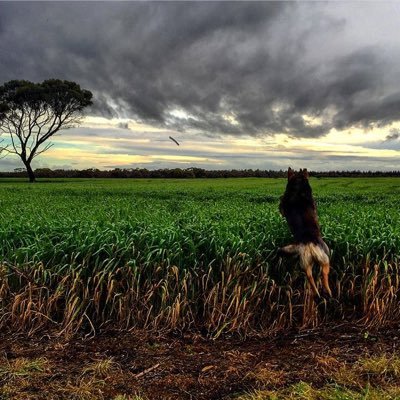Farmer on the south coast @ Green Range. the good the bad and the ugly of my farming life (hopefully mostly good)
