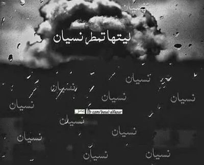 kng_mark's profile picture. 